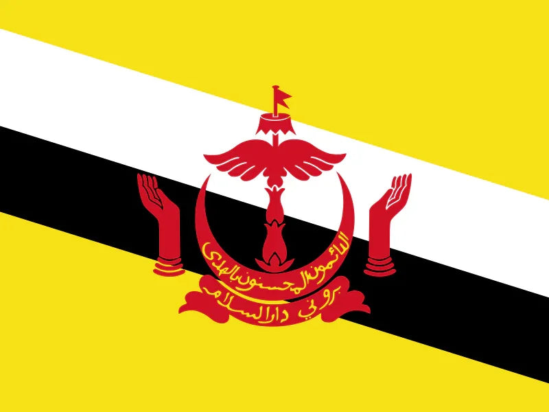 Brunei Flag