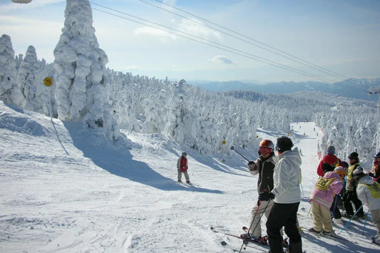 Silver Season Descends: A Complete Guide to Winter Travel in Japan