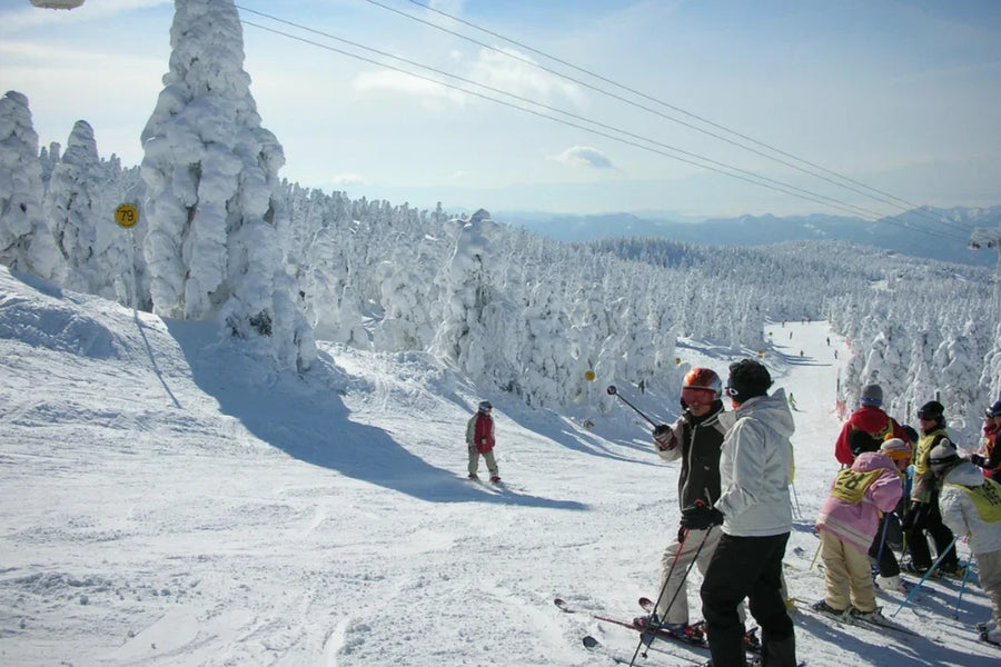 Silver Season Descends: A Complete Guide to Winter Travel in Japan