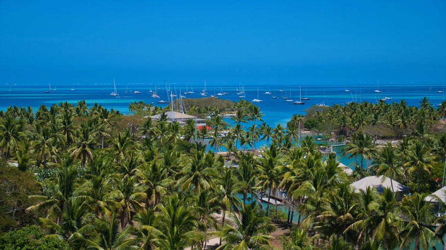 Fiji Travel Guide 2026: Stay Connected with abesteSIM
