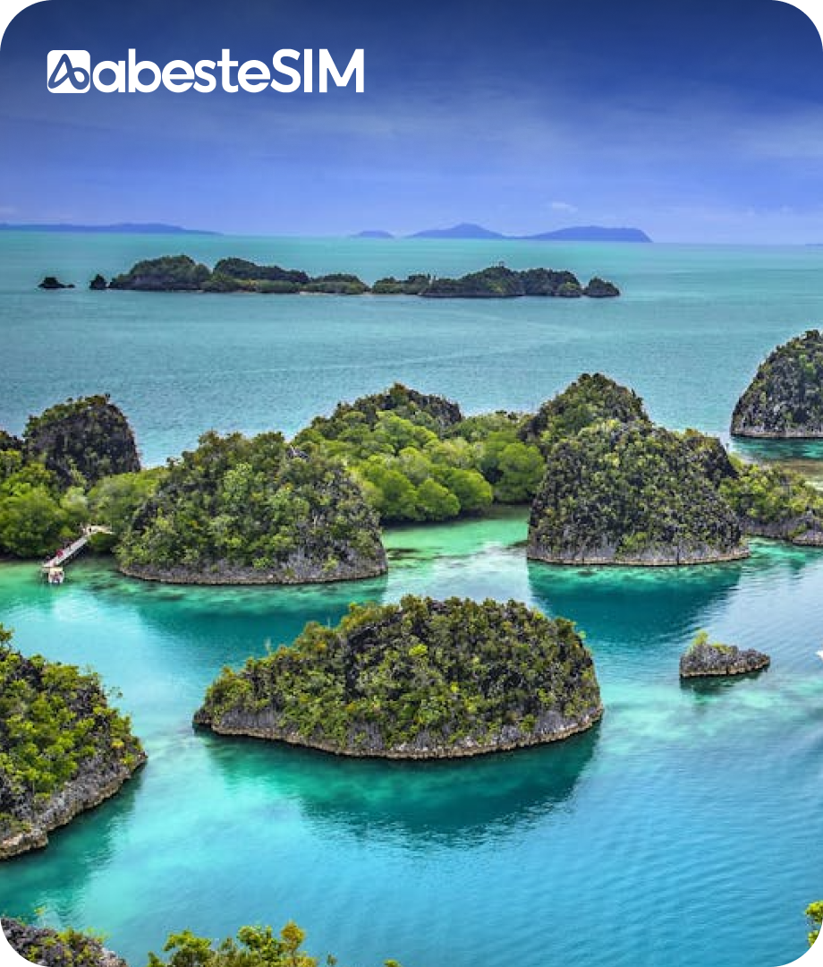 eSIM Indonesia (Support Tiktok)