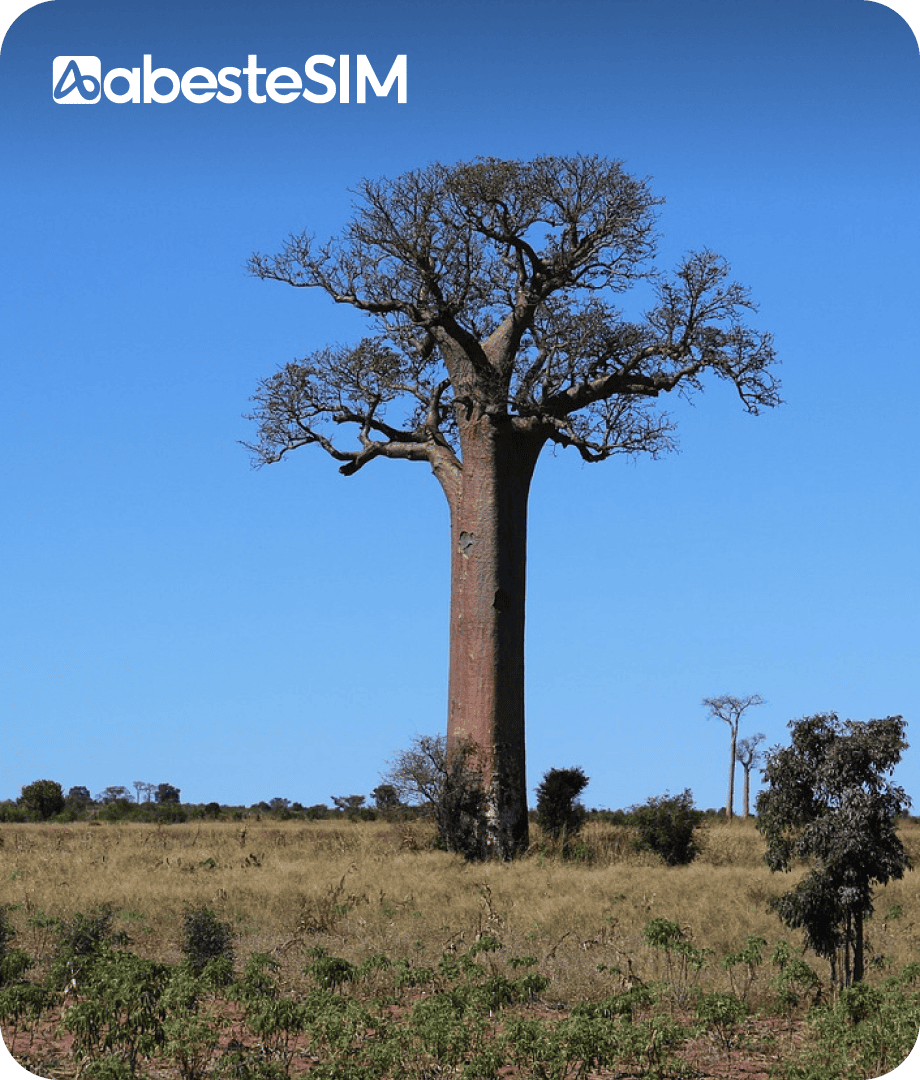eSIM Madagascar