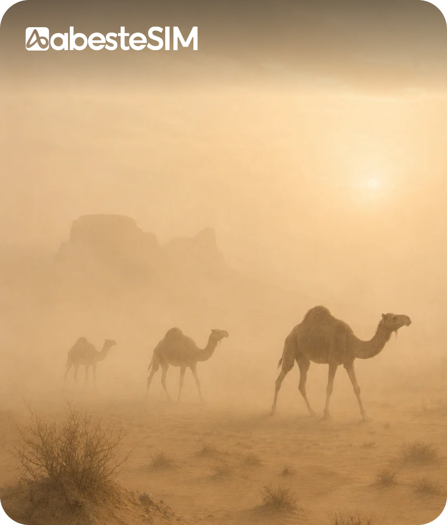 eSIM Middle East (8 Countries)