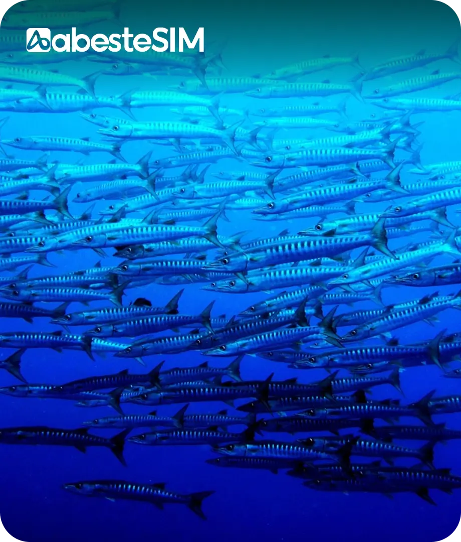 eSIM Palau