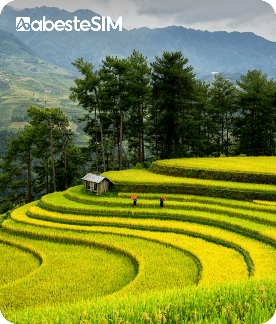 eSIM Vietnam (Viettel, Local IP)